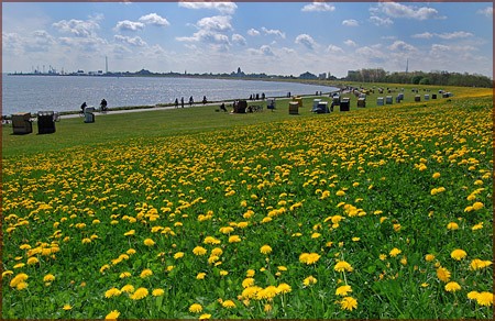 Grimmershörnbucht Cuxhaven Grimmershörnbucht Cuxhaven nähe Kugelbake